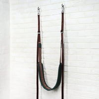 Regular Wall Pelvic Swing (including 2 pieces over the door hanger)